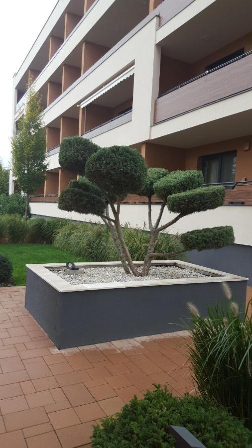 Big Forest Apartman Apartment Debrecen Exterior photo